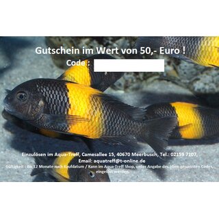Gutschein 50,- Euro Tanganjika - 1